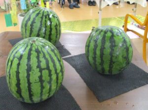 ケアホーム俊徳道　スイカ割り🍉